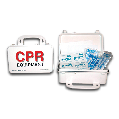 Image of Economy CPR Kit
