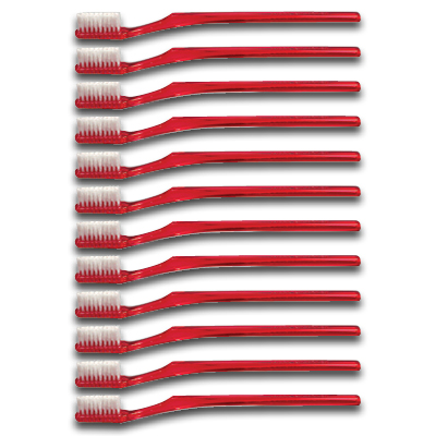 Image of Toothbrush w/Toothpaste, Disposable (12/pk)