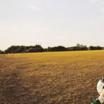 How one injury can derail an NFL playoff run: A look at the devastating effects on key players