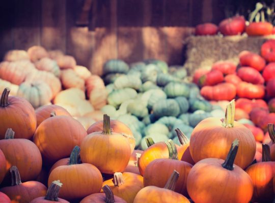 Halloween Safety