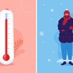 Comparing Different Thermometers Options